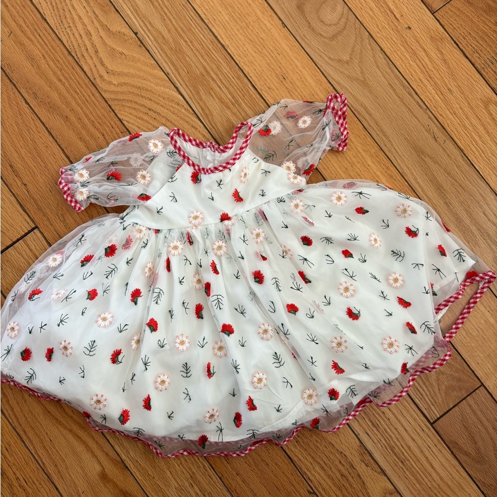 Pippa & Julie White Mesh Baby Dress with Red Gingham Trim and Floral Embroidery